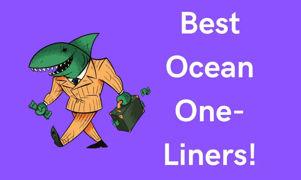 Best Ocean One Liners!