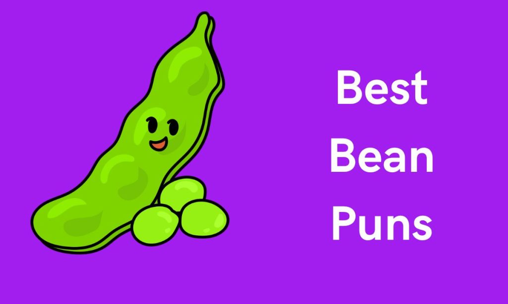 best Bean Puns