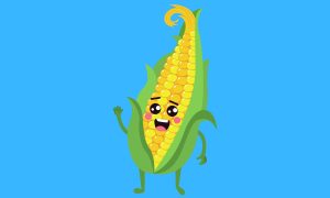 best corn puns