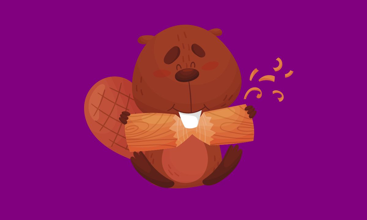 jokes about beavers