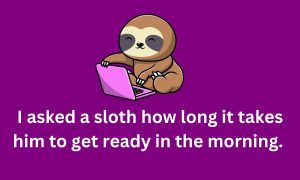 sloth jokes